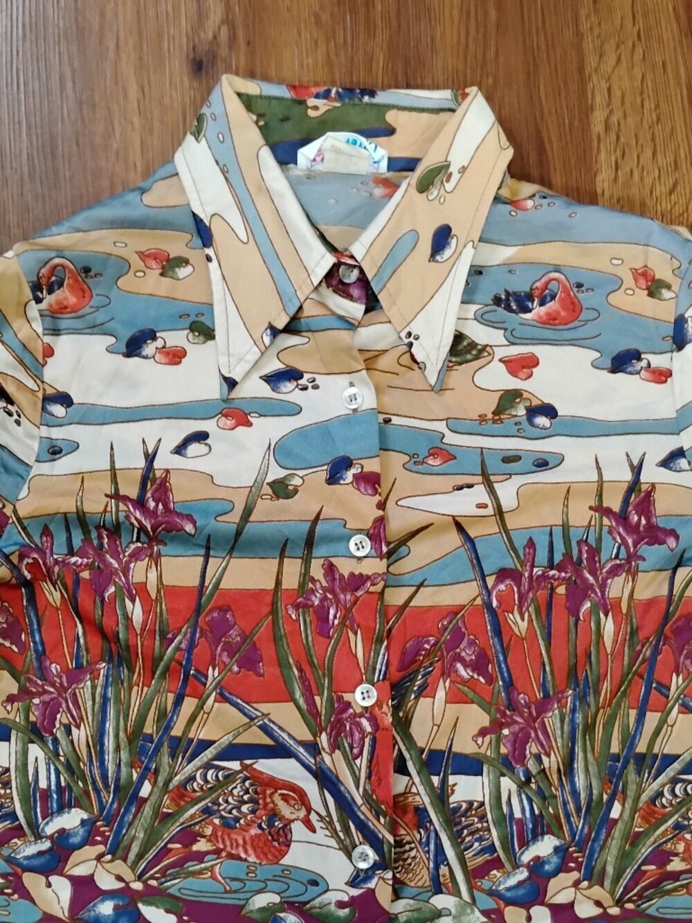 Vintage College Town Loons Wetland Marsh Landscape Polyester Disco Shirt